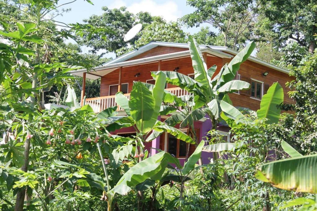 Bema Farm Villa Sao Jose Eksteriør billede